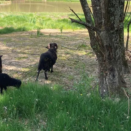 Charles Ashton Insolite Sur L'eau Kamp alanı Sarzeau